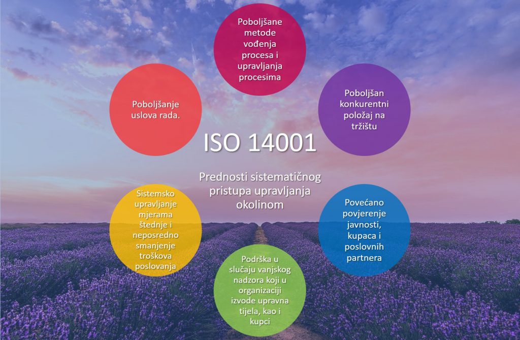 ISO 14001 Prednosti sistematičnog pristupa upravljanja okolinom: Poboljšane metode vođenja procesa i upravljanja procesima, Poboljšan konkurentni položaj na tržištu, Povećano povjerenje javnosti, kupaca i poslovnih partnera, Podrška u slučaju vanjskog nadzora koji u organizaciji izvode upravna tijela, kao i kupci, Sistemsko upravljanje mjerama štednje i neposredno smanjenje troškova poslovanja, Poboljšanje uslova rada.